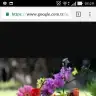 seda0990