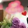 Lila Rengim