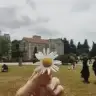 renkliumutlar