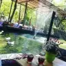 Yasminalp