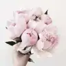 redplum