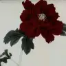 Pinklanguage