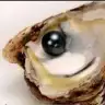 Siyahinci0000