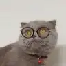 DuruPunky