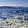 arslan_gamzeli_