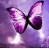 pinkbetty
