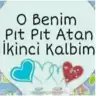 Bedis123