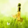 excite