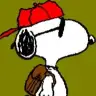 Joe Cool