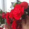 Nabiii3