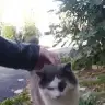 smraoztrk