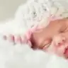 Minkkalpp