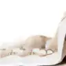 Slowlykubi