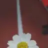 Kvlkvl