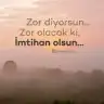 mor gelincik