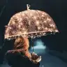 Aslfly