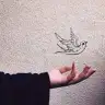 aysehnf
