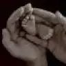 didarkar