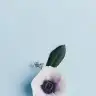 aysnrdmrc