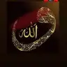 Mizginturan178