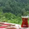 rengarenkdusler