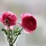 Benan6767