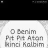 sedaaa146
