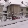 laraaysen