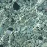 kimbumaviki