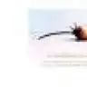 ss_angel