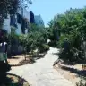 simisimiya