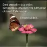 Umudumvar aaii