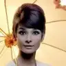 sinemalin