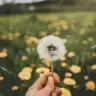 Carpe Diem Angel