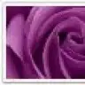 tugba88