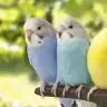 Sinem_59