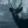 Naslenzl