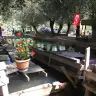 Advesmizat