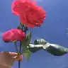 Funnymum