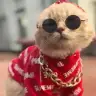 CiciKedi01