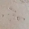 Saftanhallice