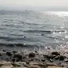 Deniz224