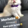 Tubisakkay