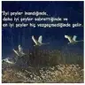 cansintunc1