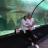 tubaagl