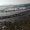 Sevilayerdogan