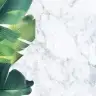 Ggizemg