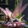 mutluinsan