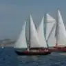 seapearl