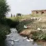 Seromero